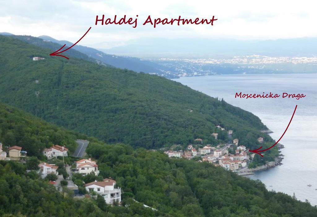 Apartment Haldej Mošćenička Draga 客房 照片
